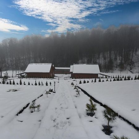 U Zrodel Strwiaza Villa Ustrzyki Dolne Buitenkant foto