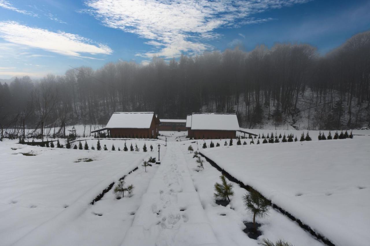 U Zrodel Strwiaza Villa Ustrzyki Dolne Buitenkant foto